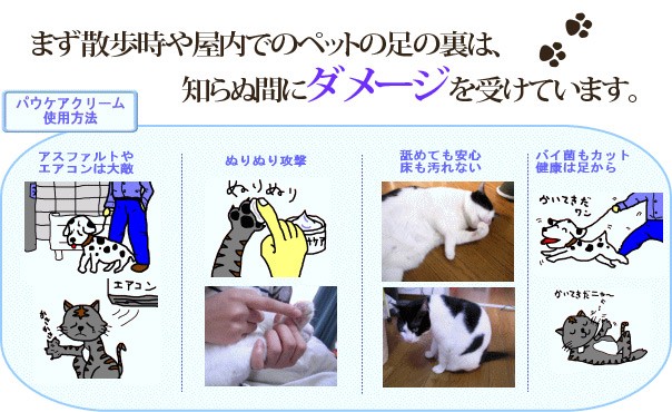 メイン4
