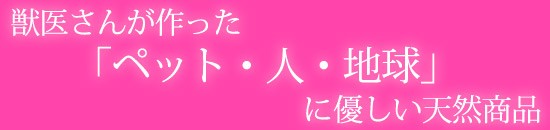 メイン1