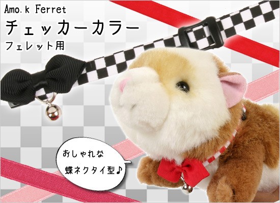 メイン