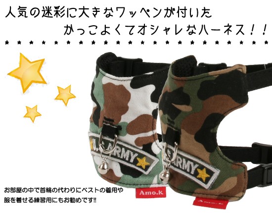 メイン2