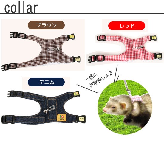 メインカラー