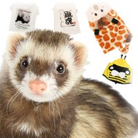 フェレットワールドヤフーショップ - 洋服｜Yahoo!ショッピング