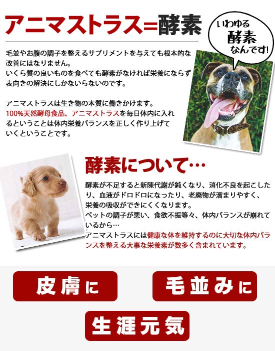 フェレット サプリメント アニマストラス 顆粒タイプ100g 犬 ドッグ