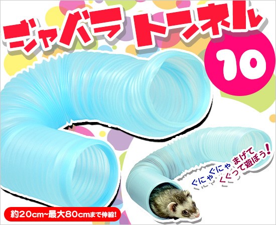 メイン