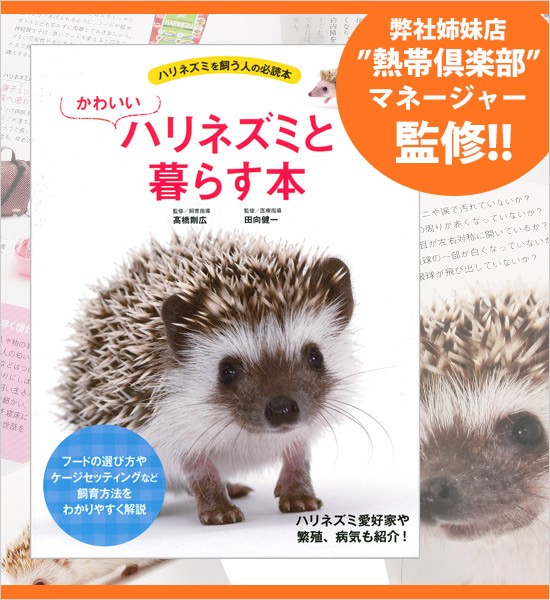愛犬ラブプロフ必見！！ はりねずみ 小動物 飼育ケース 愛犬ラブプロフ必見！！様専用 はりねずみ 小動物 飼育ケース