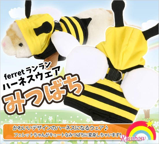 メイン