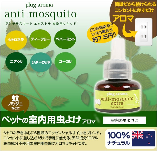 メイン