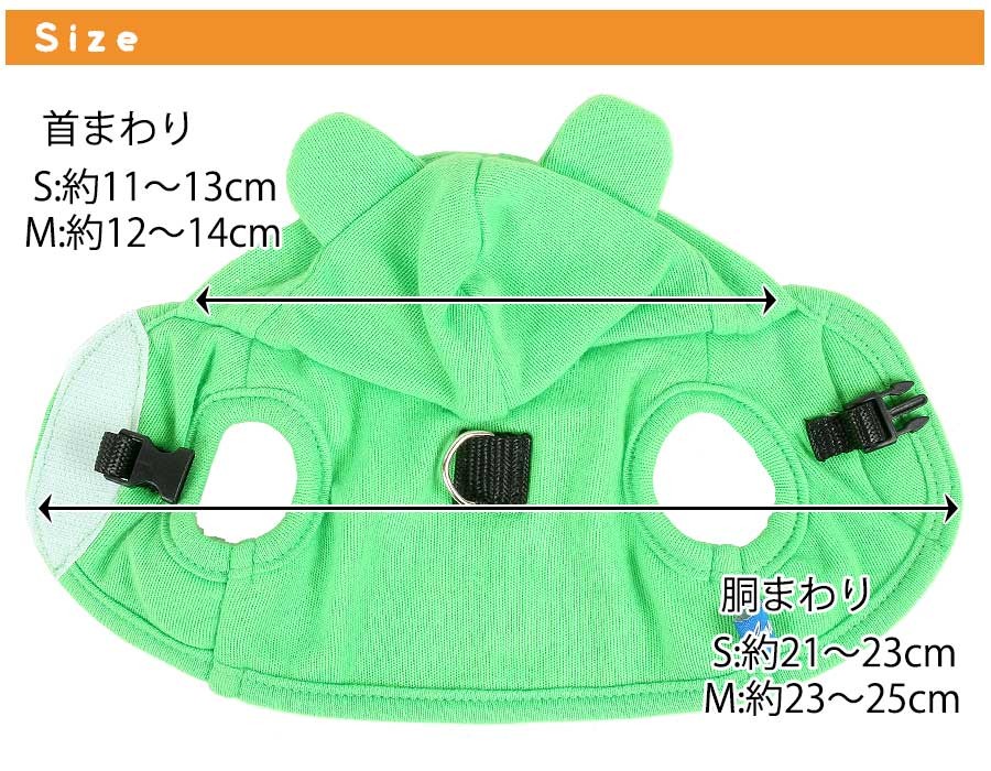 メイン