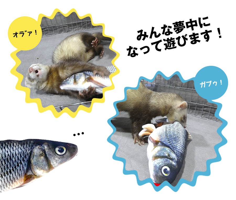 フェレット おもちゃ ダンシングフィッシュ(USBケーブル付) 猫 電動