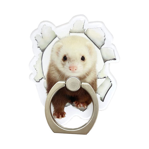 スマホ 雑貨 フェレット スマホリング 写真ver オリジナル フェレット Iphone リング ホルダーリング プレゼント ゆうパケットok ゆうパケットok フェレットワールドヤフーショップ 通販 Yahoo ショッピング