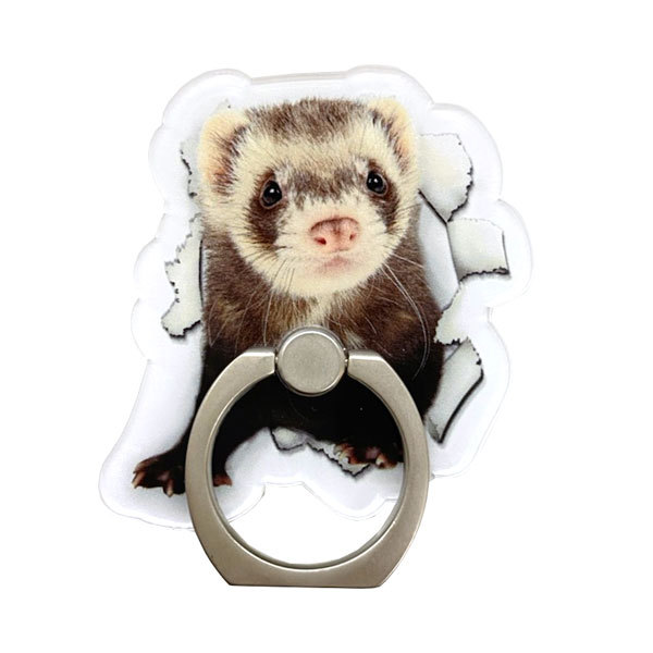 スマホ 雑貨 フェレット スマホリング 写真ver オリジナル フェレット Iphone リング ホルダーリング プレゼント ゆうパケットok ゆうパケットok フェレットワールドヤフーショップ 通販 Yahoo ショッピング