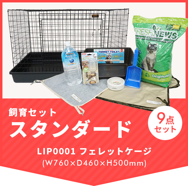 フェレット 飼育セット 送料無料 フェレット飼育セット　フェレットケージ付き スタンダード9点セット！ お買い得 　フェレット サークル ケージ ゲージ