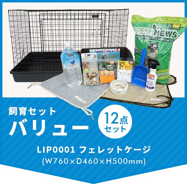 フェレット 飼育セット 送料無料 フェレット飼育セット フェレットケージ付き バリュー12点セット！ お買い得 フェレット サークル ケージ ゲージ  : value2022 : フェレットワールドヤフーショップ - 通販 - Yahoo!ショッピング