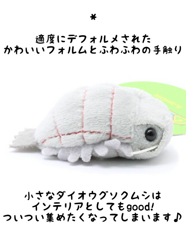 新生活 クーポンあり】 ダイオウグソクムシ XLサイズ 可愛い