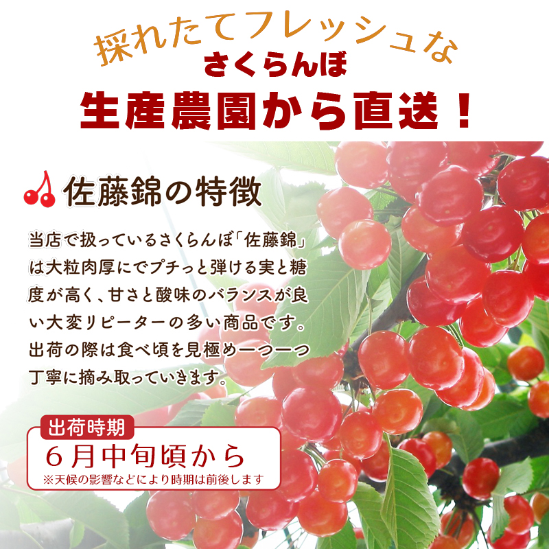 予約注文【6月中旬頃から発送】送料無料！福島県産さくらんぼ