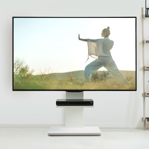 EQUALS テレビ台 テレビスタンド 首振り 角度調節 WALL 32～65インチ 