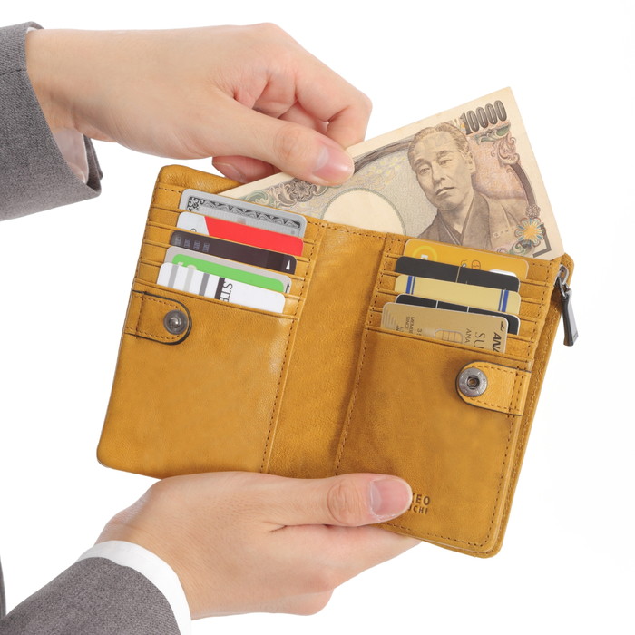 TAKEO KIKUCHI タケオキクチ オイスター 二つ折り財布 カード段10