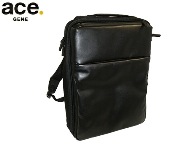ace. GENE ace.GENE ACE.GENE �G�[�X acegene �G�[�X�W�[�� �G�[�X �W�[�� �K�W�F�^�u�� DPL ���{�� �����b�N B4/15.6�C���`�Ή� 30522