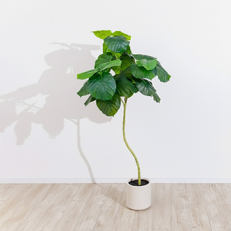 MINT ウンベラータ フェイクグリーン 光触媒フェイクグリーン 観葉植物