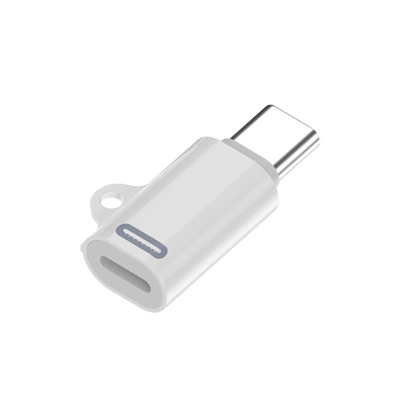 Lightning to Type C 変換アダプター PD充電対応 iPhone15シリーズ