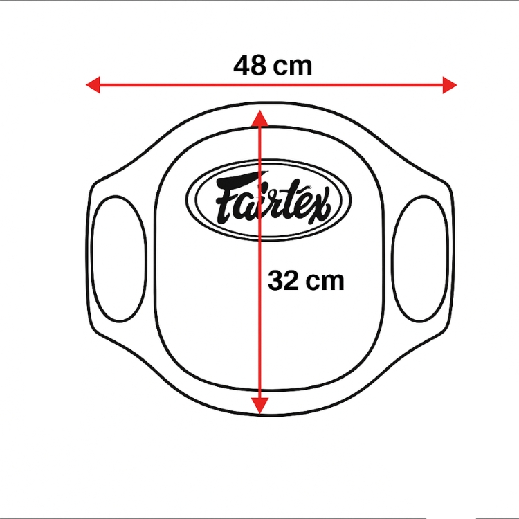 フェアテックス Fairtex BPV2 ボディプロテクター 本革 ベリーパッド