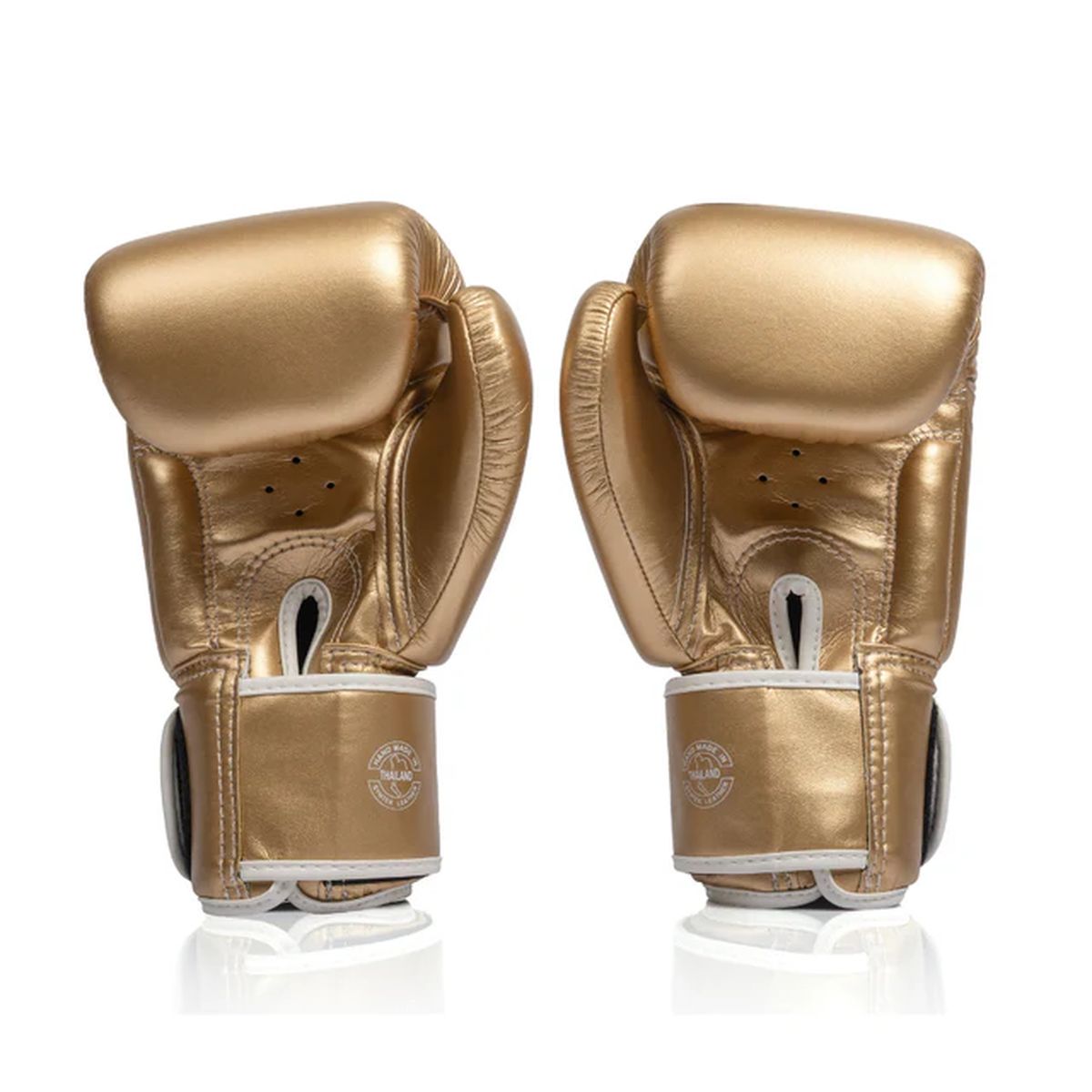 フェアテックス FAIRTEX ボクシンググローブ BGV1C-PLUS ムエタイ