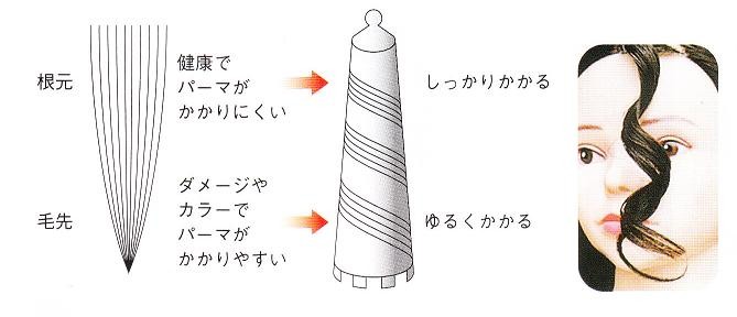 HYP 円すいロッド 24mm ブルー 6本入の説明 - 通販 - Yahoo!ショッピング