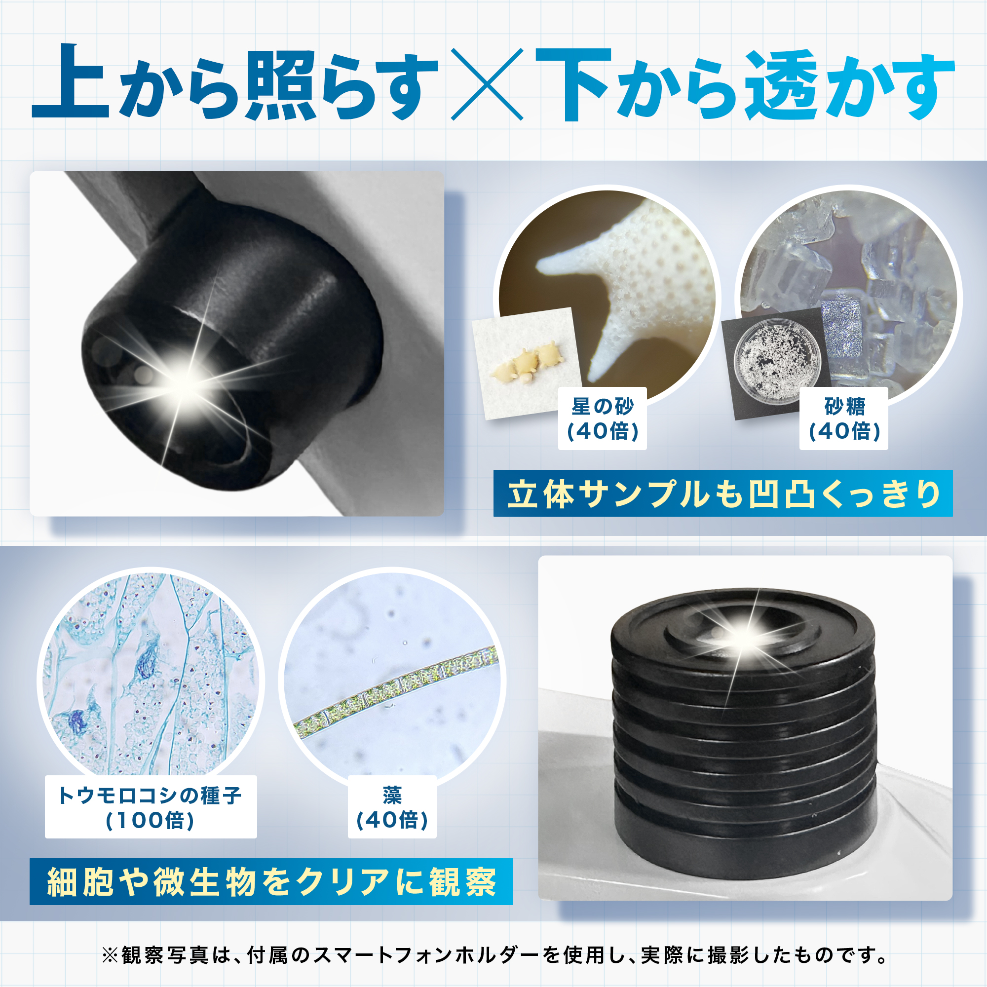 FieldNew 【学びが深まる12Pガイド付き】単眼生物顕微鏡｜40X-1000X