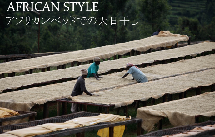 アフリカンベッド