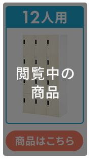 12人用