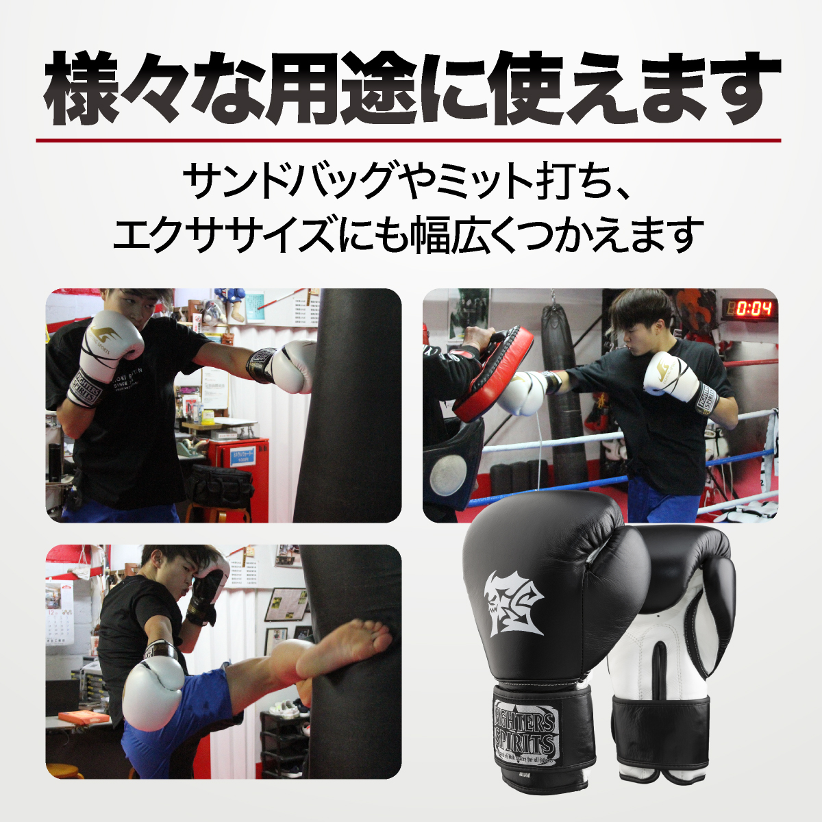ファイターズスピリッツ〕FIGHTERS SPIRITSスタンダード