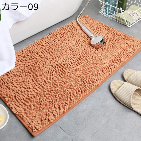 玄関マット コイヤーマット ココヤシ ドアマット 泥落とし 天然素材 おしゃれ 屋外 エントランス 北欧風 インテリア カラー ベランダ |  | 09