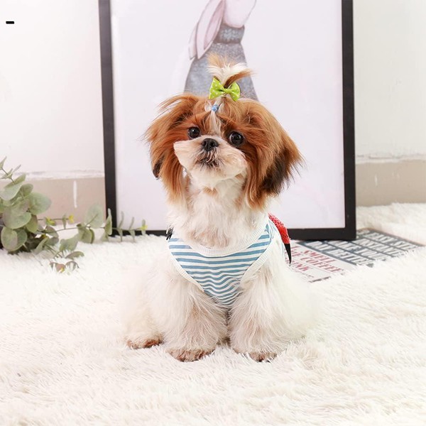 犬服 犬の服 猫犬服 ペット服 春夏 Tシャツ ブルー 小中型犬 仮装 ドッグウェア ベスト 通気性 涼やか 日焼き防ぐ 柔らかい 袖なし |  | 01