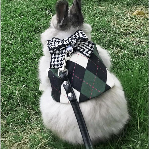うさぎ服 可愛い 学院風 ウサギ 子猫 ハーネス リード セット