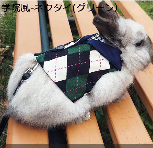 うさぎ服 可愛い 学院風 ウサギ 子猫 ハーネス リード セット