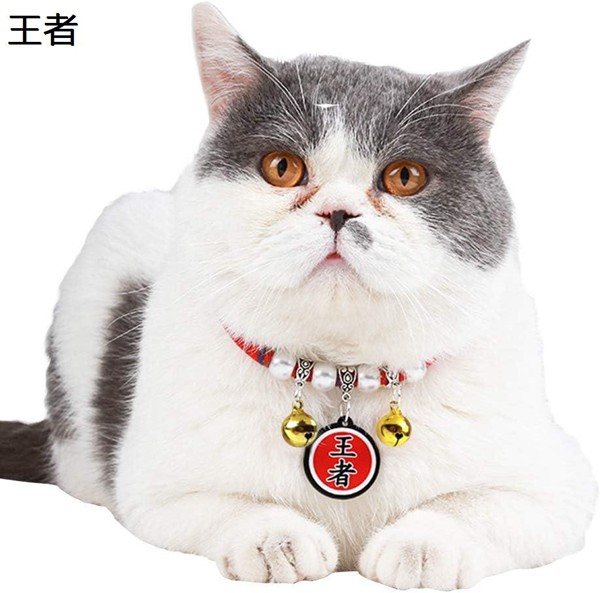 343イギリス買い付け猫の顔型金属製小物入れ重いブロンズ風 売り切れ必至！ 343イギリス買い付け猫の顔型金属製小物入れ重い