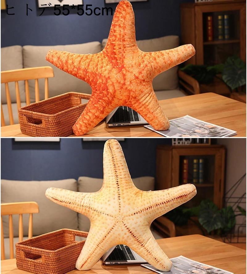 アワビ 貝殻のおすすめ人気商品一覧 通販 - Yahoo!ショッピング