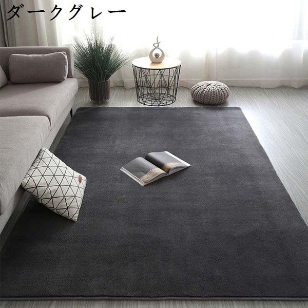ラグ 白 無地 リビング/ベッドルーム 洗える カーペット 160x100cm