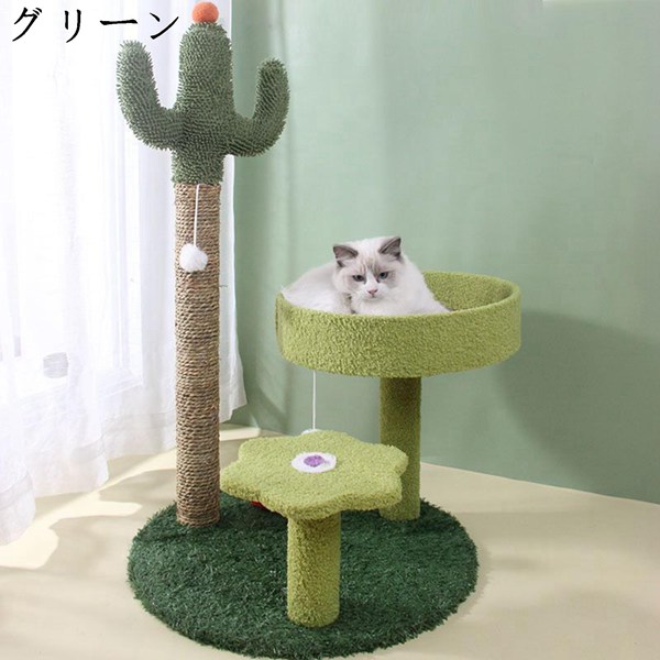 サボテン 爪とぎ（ペット用品、生き物）の商品一覧 通販 - Yahoo