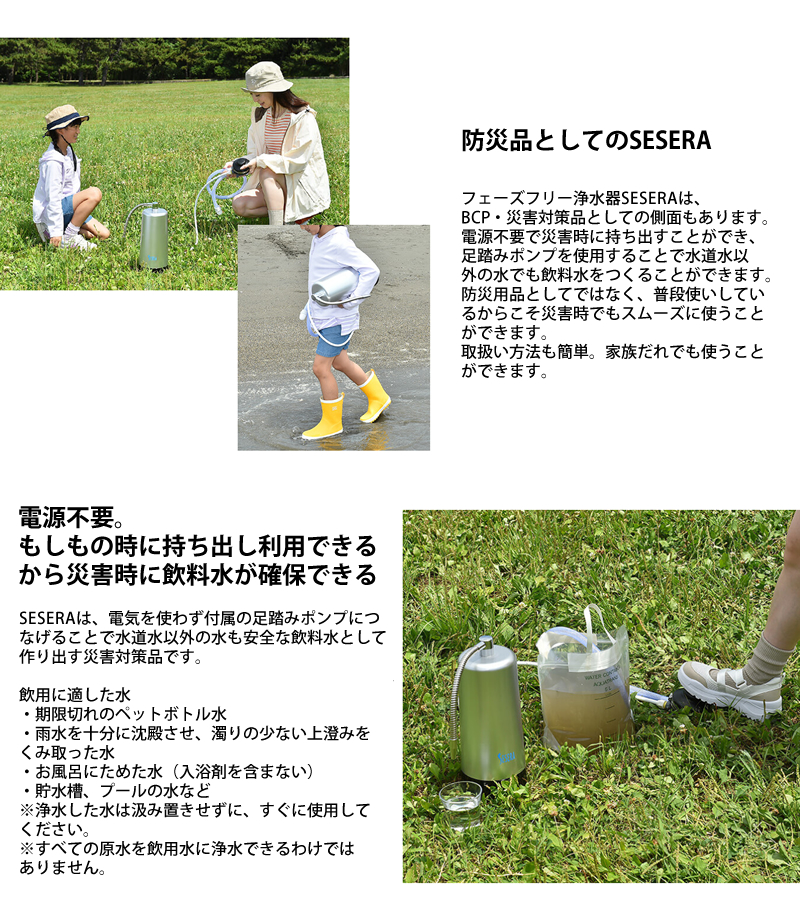 サイテックス フェーズフリー浄水器 SESERA せせら スタンダードタイプ