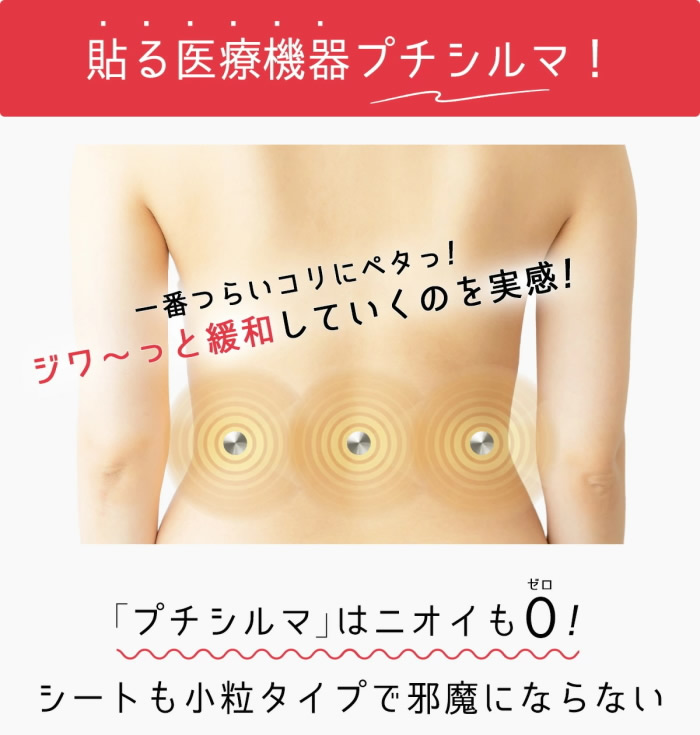 レダ（Leda） Dr.プチシルマ DX 5.5 LSi14 6粒 2個セット (メール便