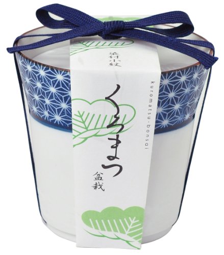 楓斑杢　玉杢　黒漆染めミニ食蘢　小物入れ 杢目・ミニ羊羹5本入」の商品詳細|【公式】ますのすし本舗源