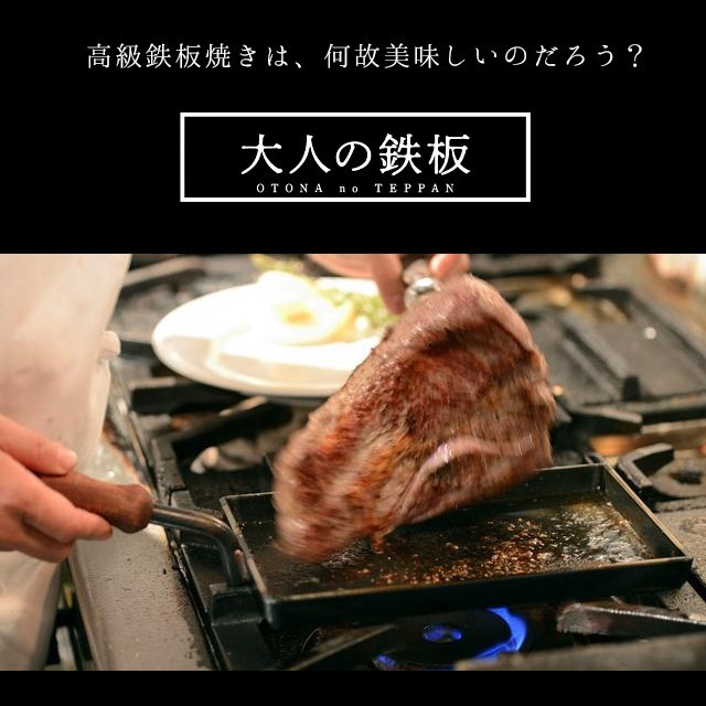 オークス 大人の鉄板 鉄板大 角蓋付き OTS8111 フライパン 日本製 IH