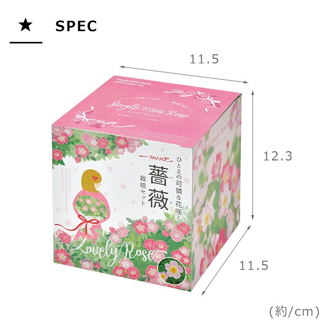 栽培キット 栽培セット 聖新陶芸 ひとえの可憐な花咲くミニバラ栽培