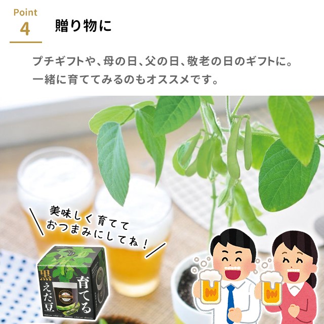 栽培キット 栽培セット 聖新陶芸 育てる黒えだ豆 GD-995 : おしゃれ