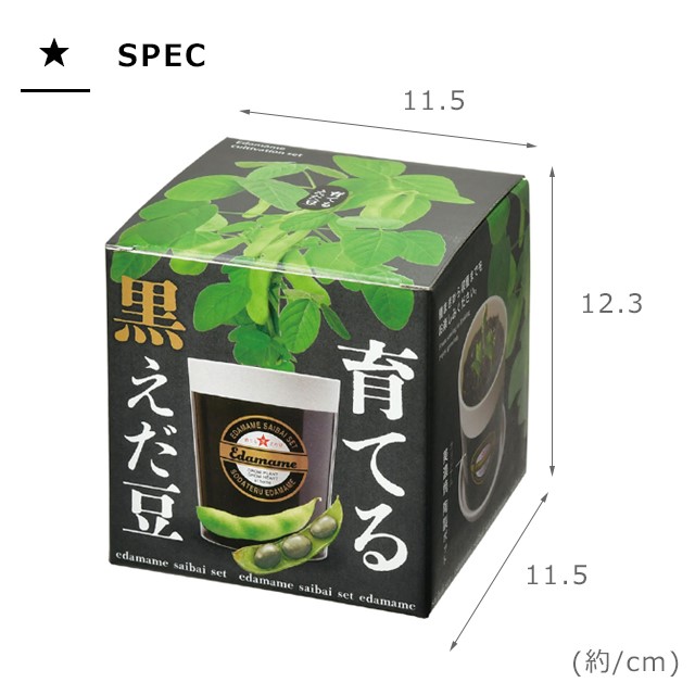 栽培キット 栽培セット 聖新陶芸 育てる黒えだ豆 GD-995 : おしゃれ
