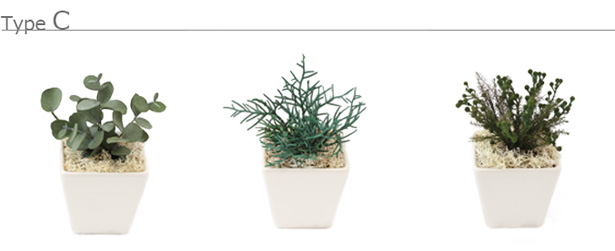 プリザーブドグリーン/誕生日プレゼント女性枯れない観葉植物造花ミニお返し