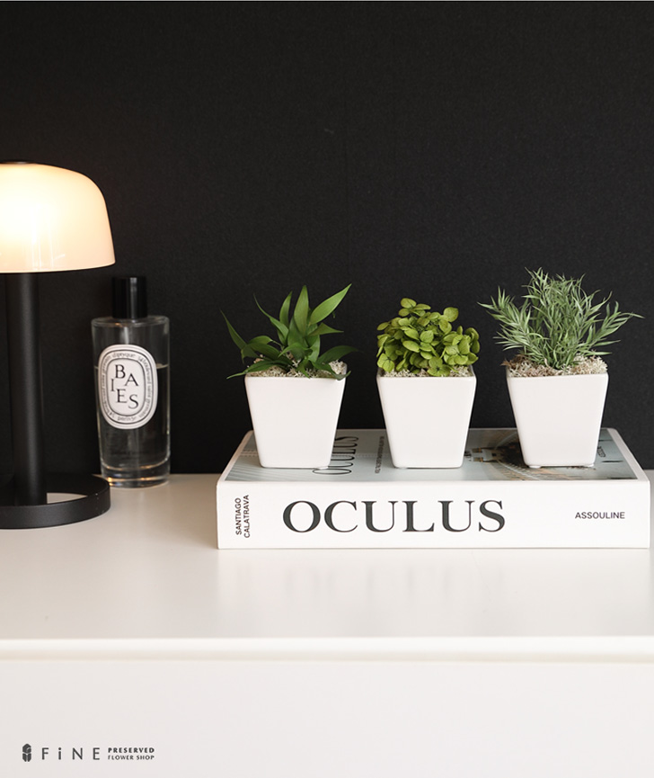 プリザーブドグリーン/誕生日プレゼント女性枯れない観葉植物造花ミニお返し