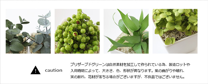 プリザーブドグリーン/誕生日プレゼント女性枯れない観葉植物造花ミニお返し