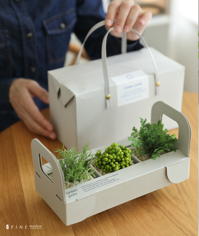 プリザーブドグリーン/誕生日プレゼント女性枯れない観葉植物造花ミニお返し